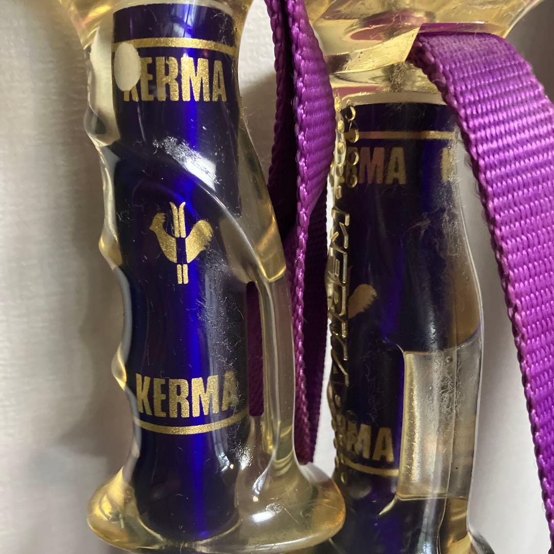 カービングスキー DYNASTAR Stacks ポール、カバー付セット