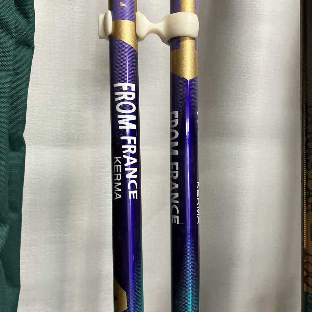 カービングスキー DYNASTAR Stacks ポール、カバー付セット