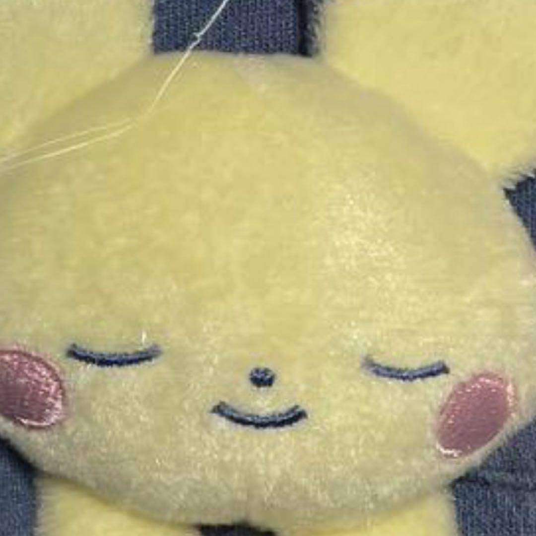 マスコット付きパーカー Little Daydream ピチュー Free