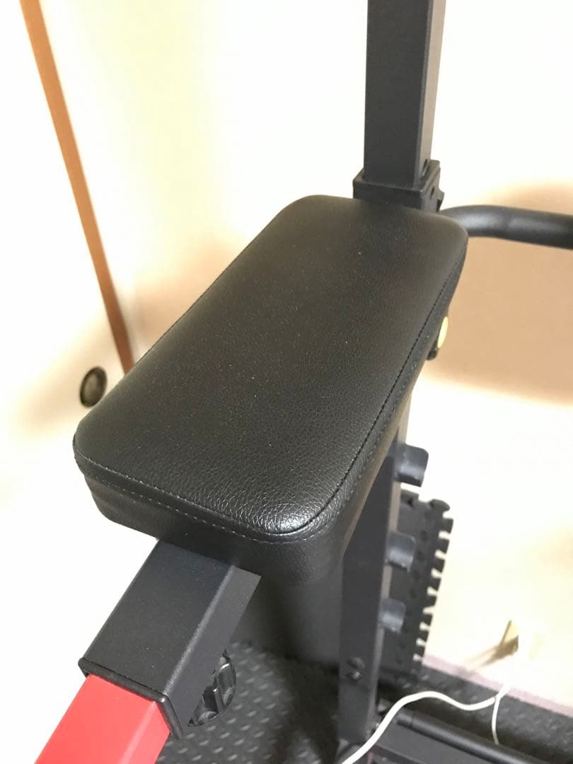 【tazima】BAW WING 懸垂バー付き