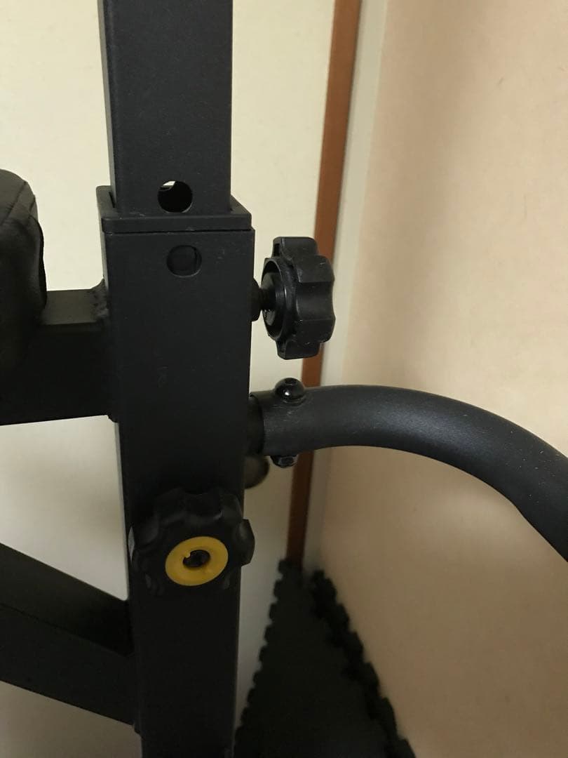 【tazima】BAW WING 懸垂バー付き