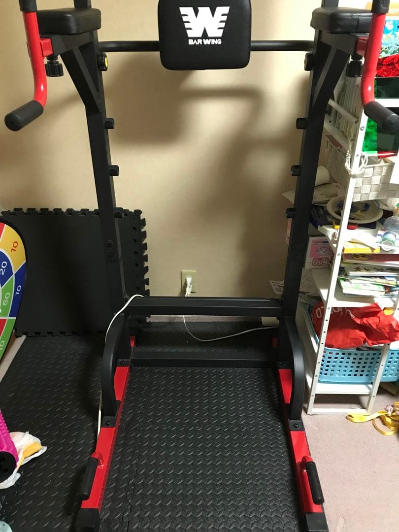 【tazima】BAW WING 懸垂バー付き