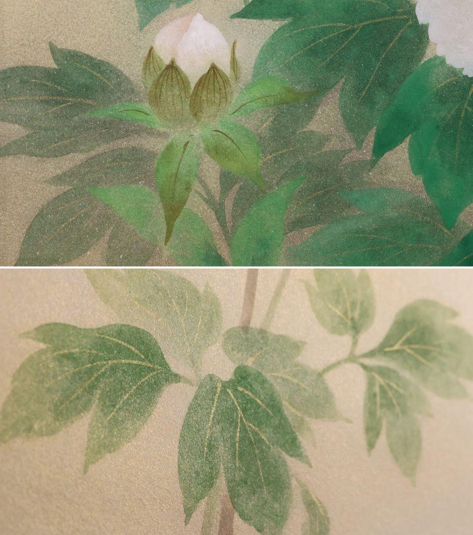 【真作】日本画 遠田一成 富貴花 牡丹 紙本 掛軸 昭和37年生 MB164