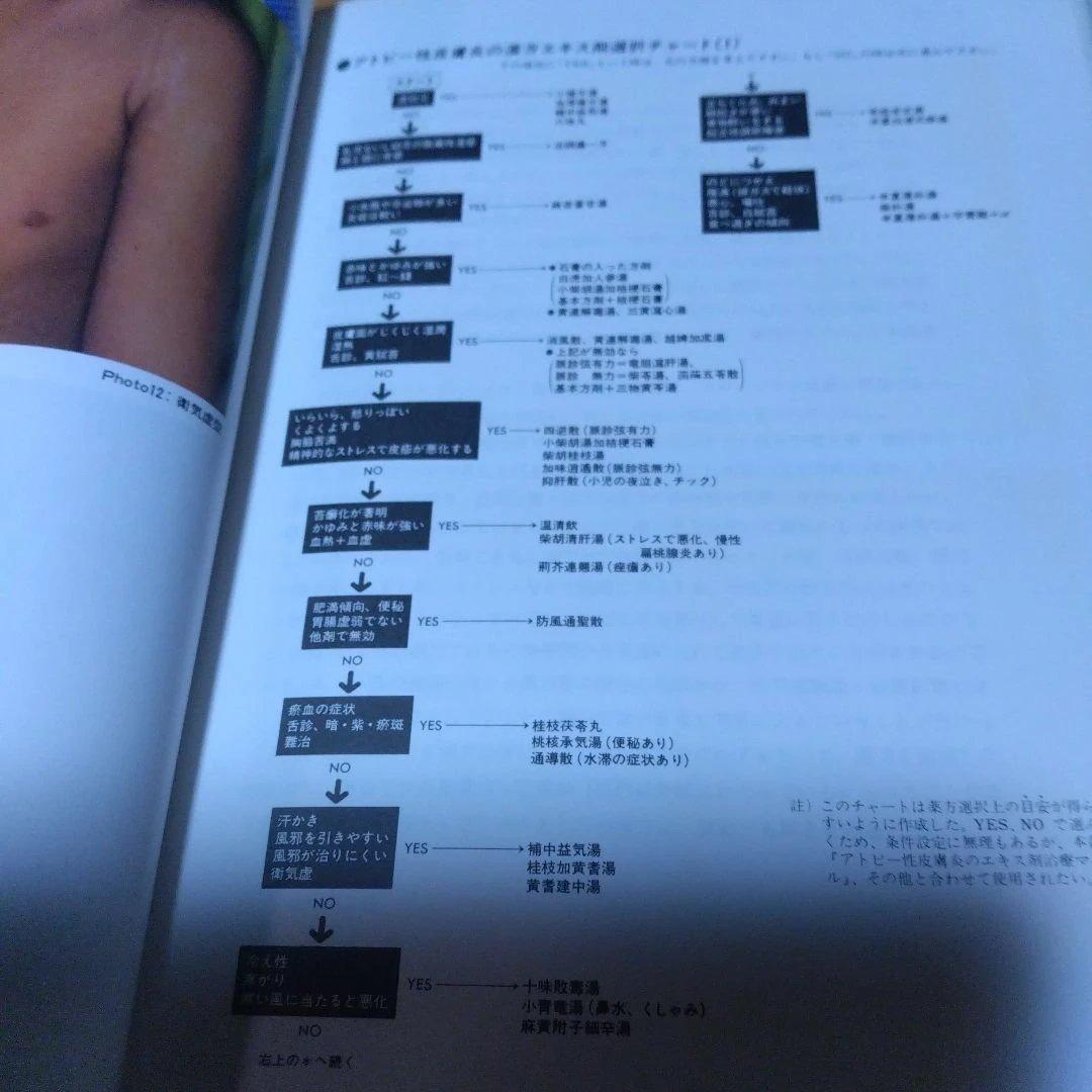 漢方治療 【アレルギー性鼻炎、アトピー性皮膚炎、小児喘息】証〉のたて方と症例検討