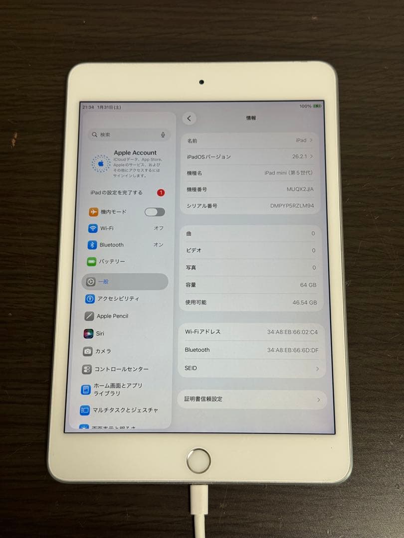 Z*W様 iPad mini第5世代本体とおまけ付き