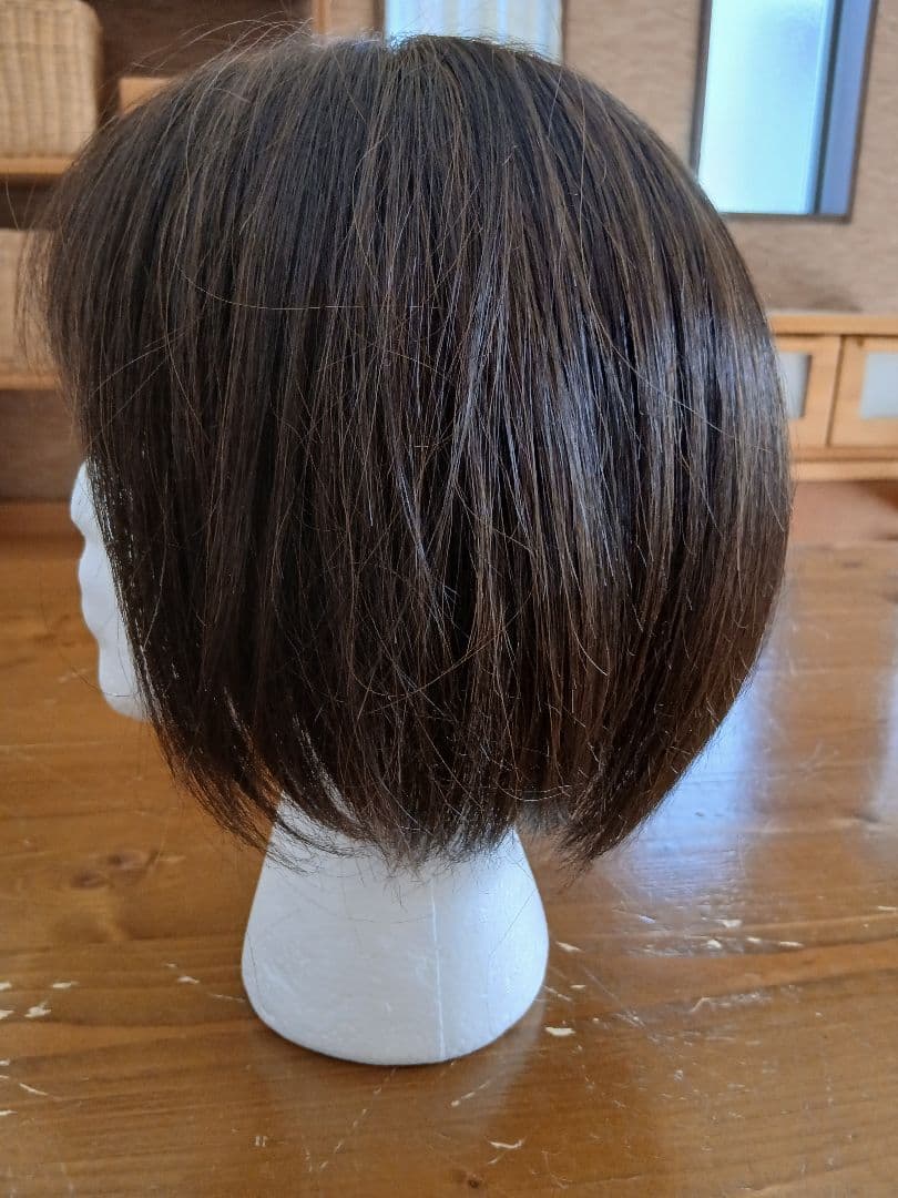 アクアドール　総手植え人毛MIX６分ウィッグ　リアルスキン　ナチュラルストレート