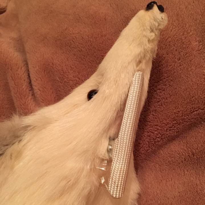 新品未使用❣高級リアルフォックスのストール