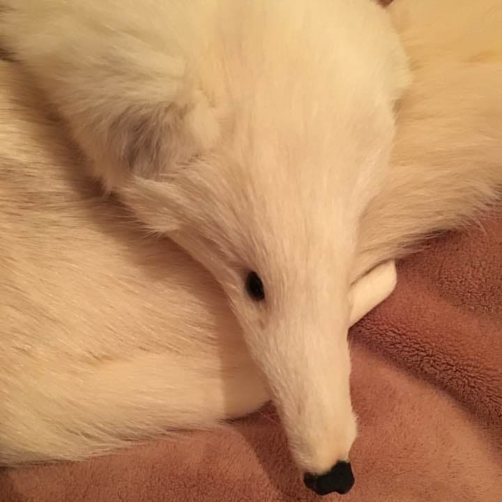 新品未使用❣高級リアルフォックスのストール