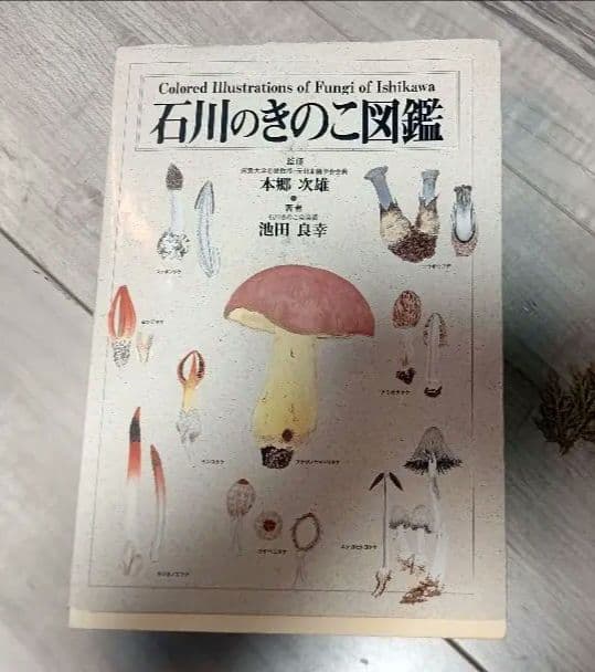 石川のきのこ図鑑
