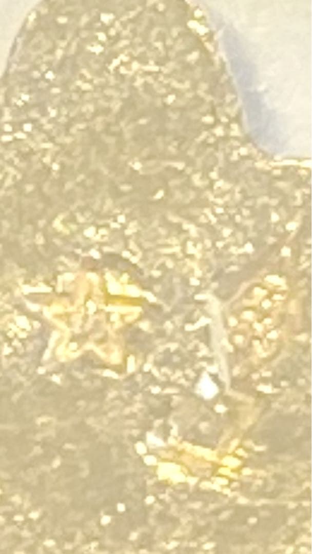 資産運用に　田中貴金属　純金 干支　0.5g