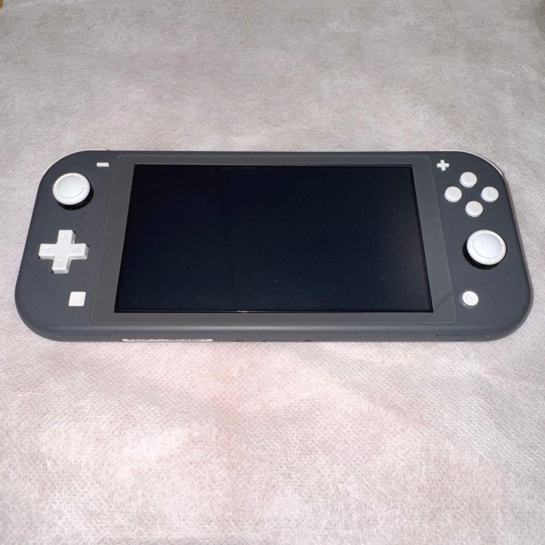 ケース付き Nintendo Switch Lite グレー