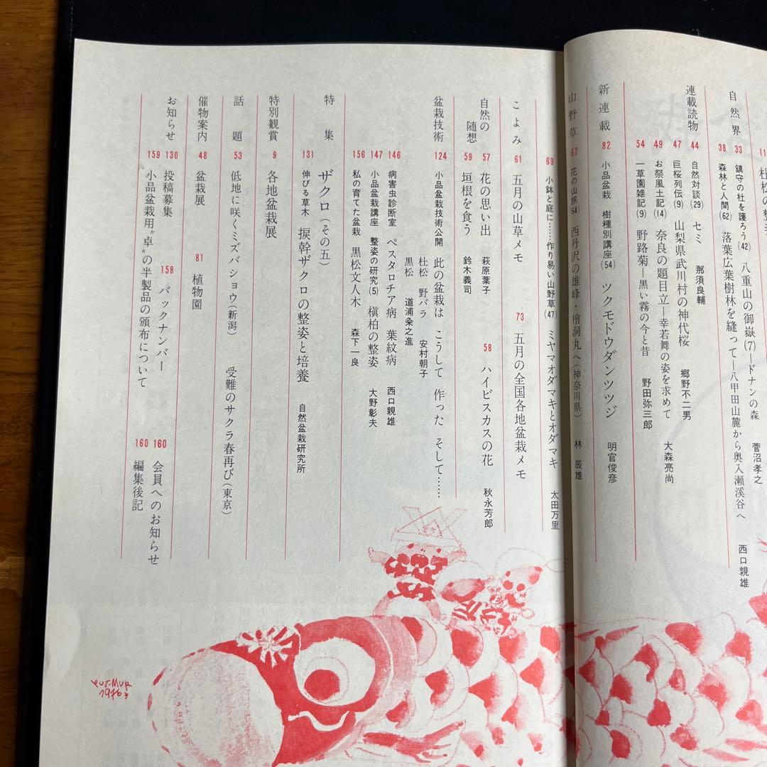自然と盆栽70号〜104号（1976年〜1978年）35冊
