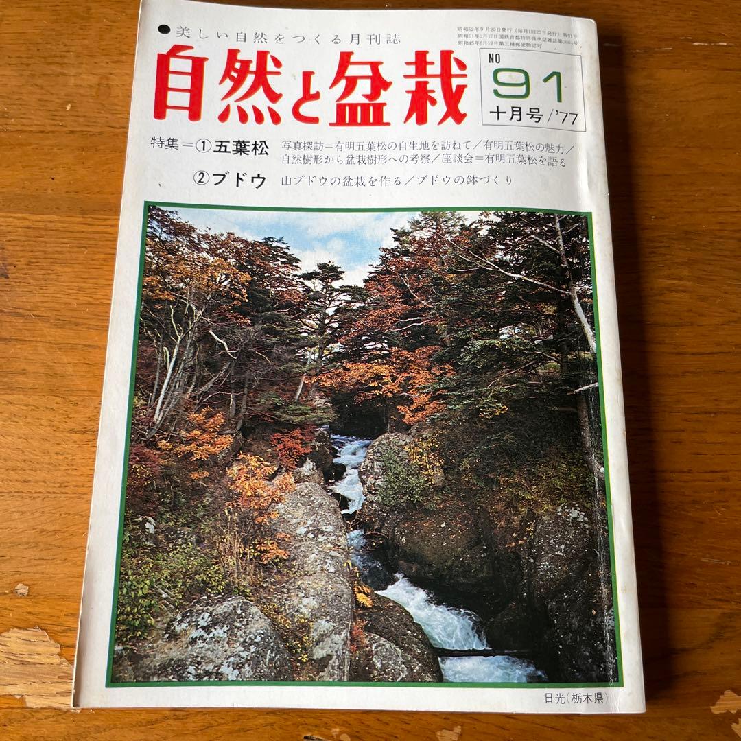 自然と盆栽70号〜104号（1976年〜1978年）35冊