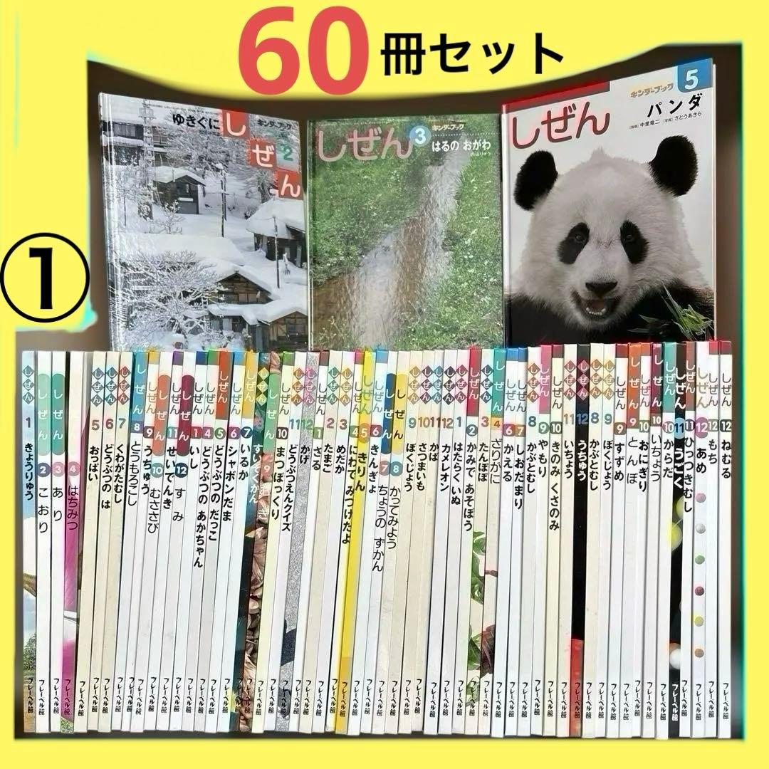 しぜん　絵本　キンダーブック　60冊　セット　まとめて　① ※2冊ダブリあります