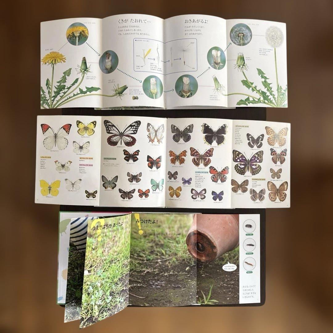 しぜん　絵本　キンダーブック　60冊　セット　まとめて　① ※2冊ダブリあります