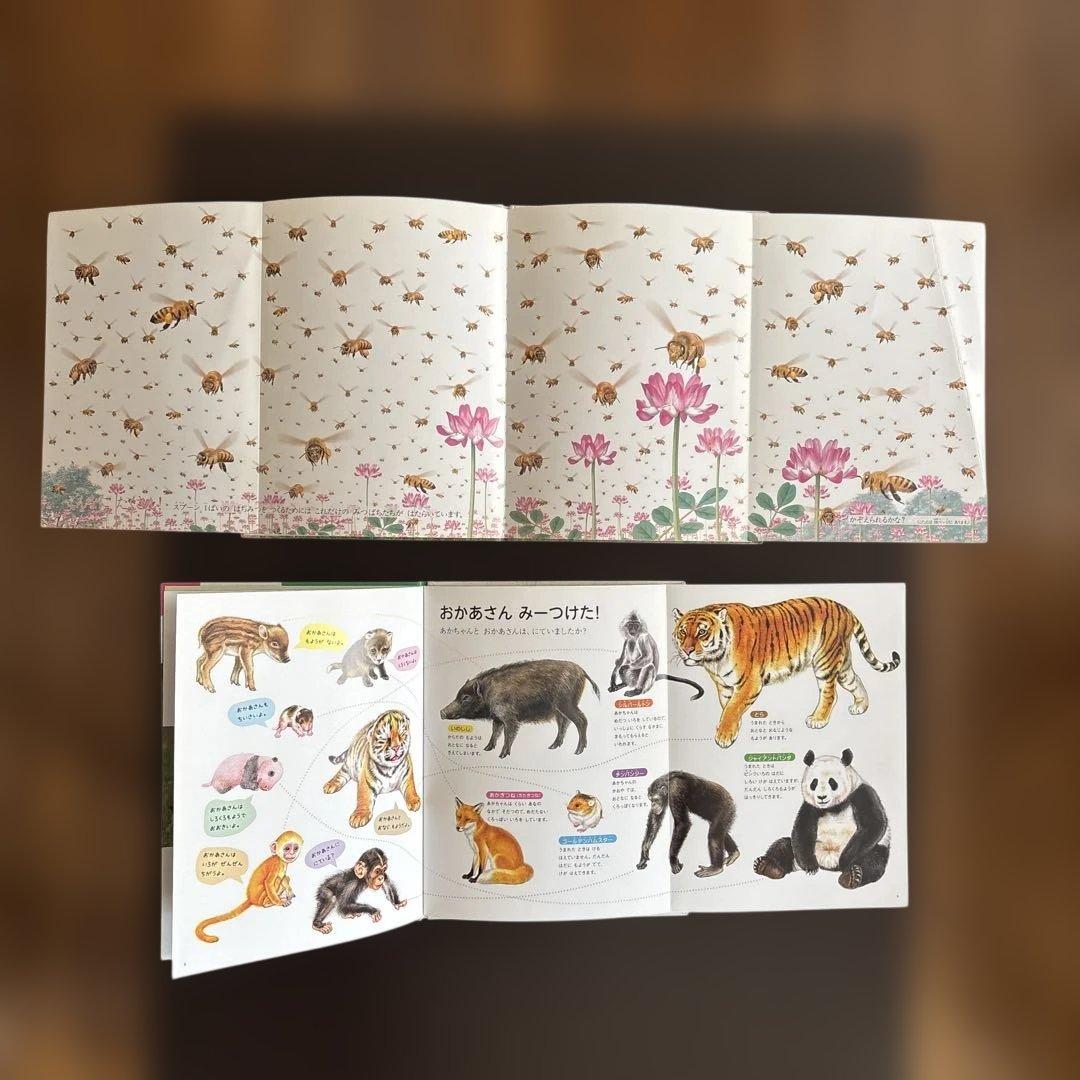 しぜん　絵本　キンダーブック　60冊　セット　まとめて　① ※2冊ダブリあります