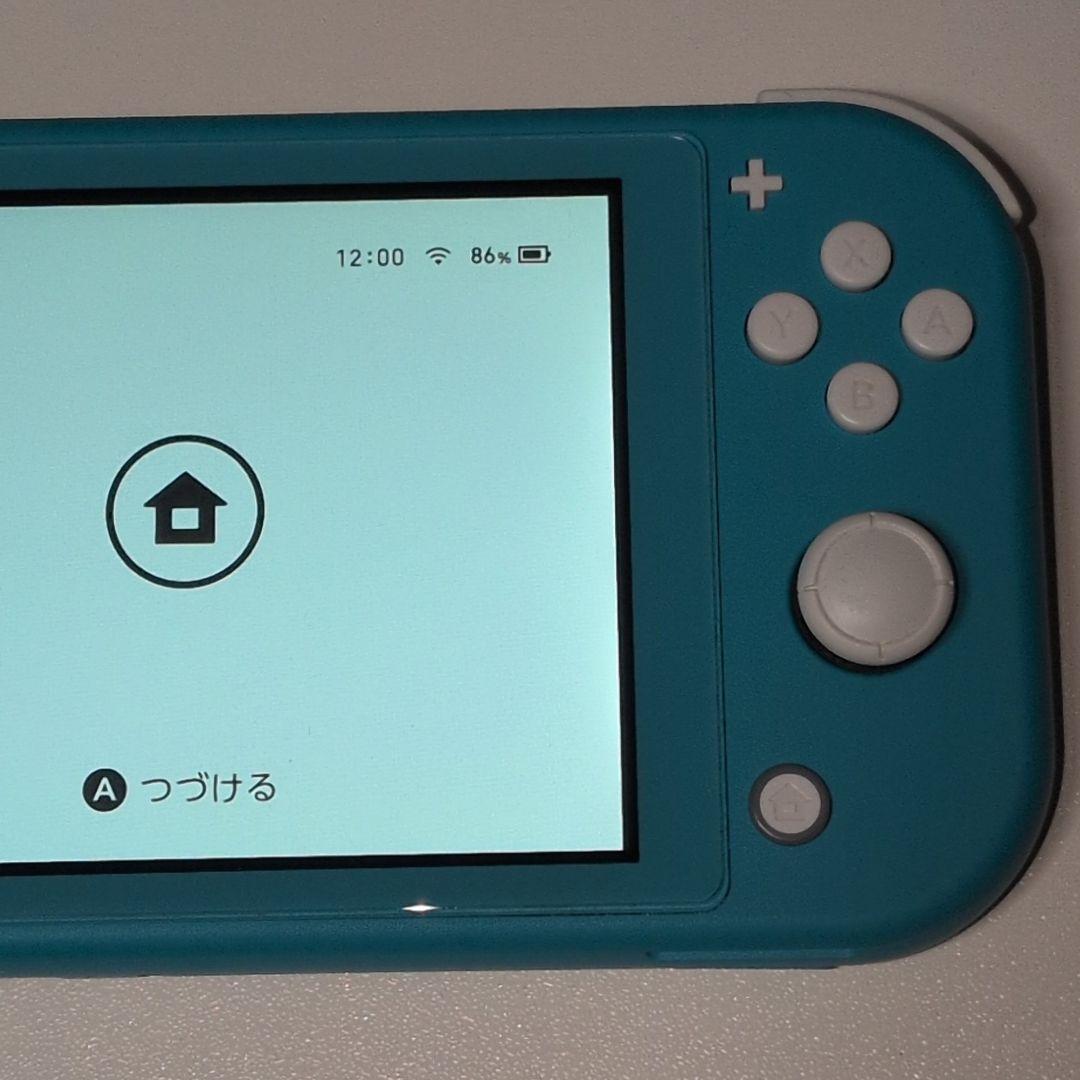 Switch ライト Turquoise ケース付き