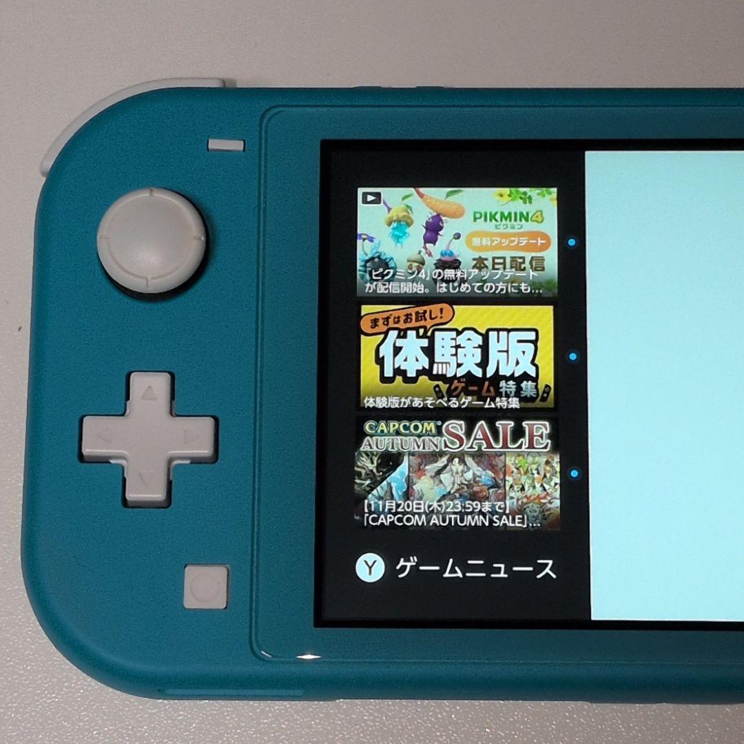 Switch ライト Turquoise ケース付き