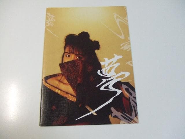 非売品 浜田麻里 夢 ファンクラブ限定写真集