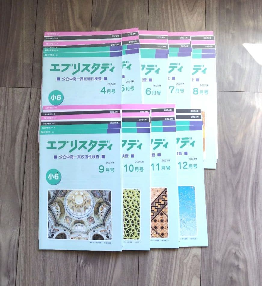 Z会 エブリスタディ 小6 公立中高一貫適性検査&作文　2024年度1年分　他