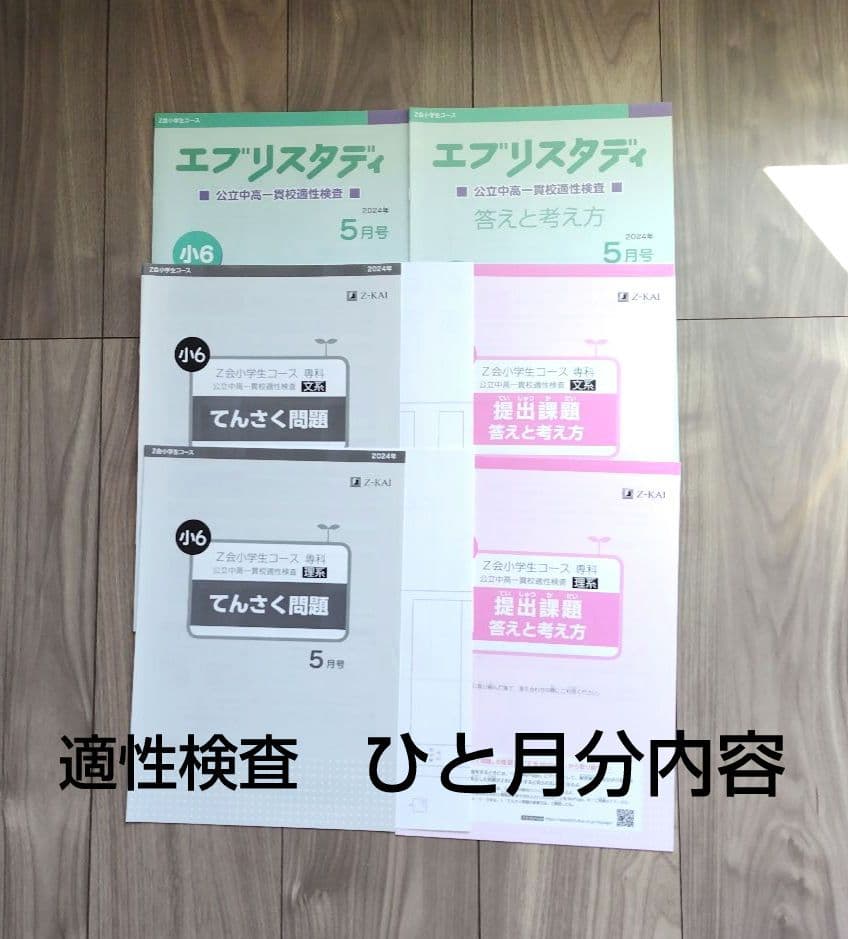 Z会 エブリスタディ 小6 公立中高一貫適性検査&作文　2024年度1年分　他