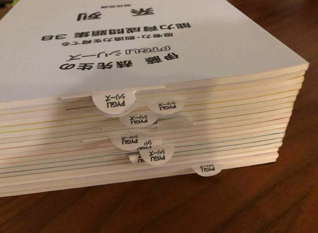 ピグマリオン 能力育成問題集 pygliシリーズ(全シリーズ40冊のデータ付き)