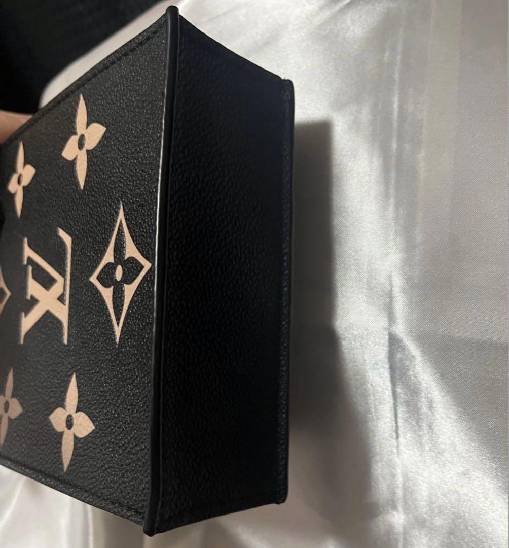 Louis Vuitton プティットサックプラ