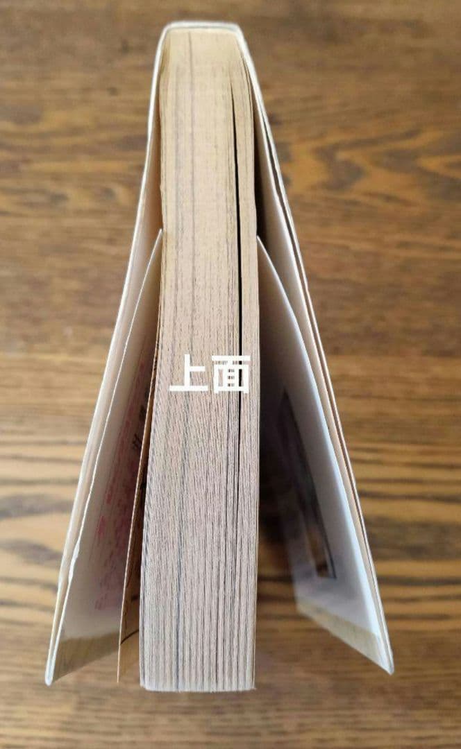 ワンピース 全巻初版 全110巻セット全巻 全巻セットコミック