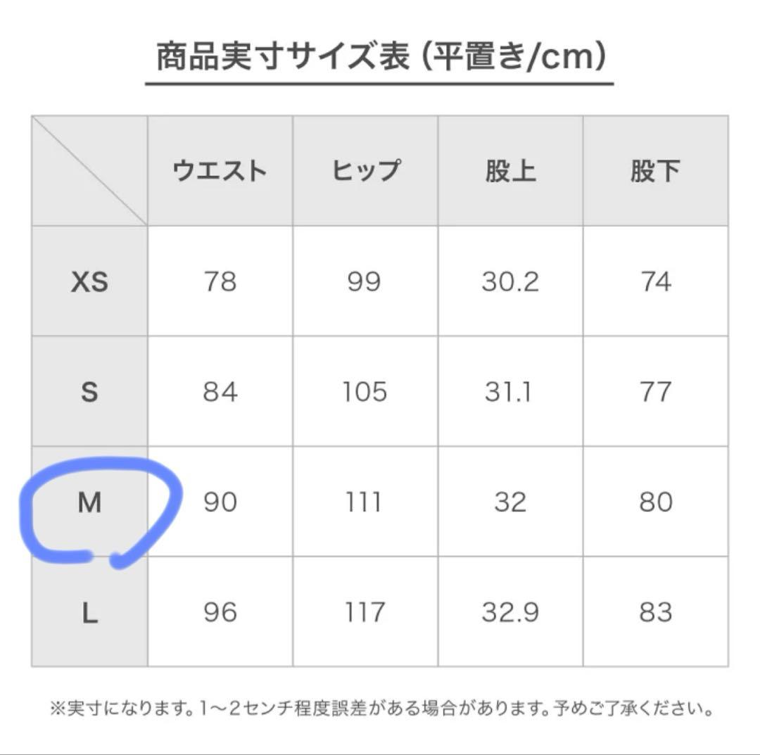 【ミレー】スキーウェア パンツ