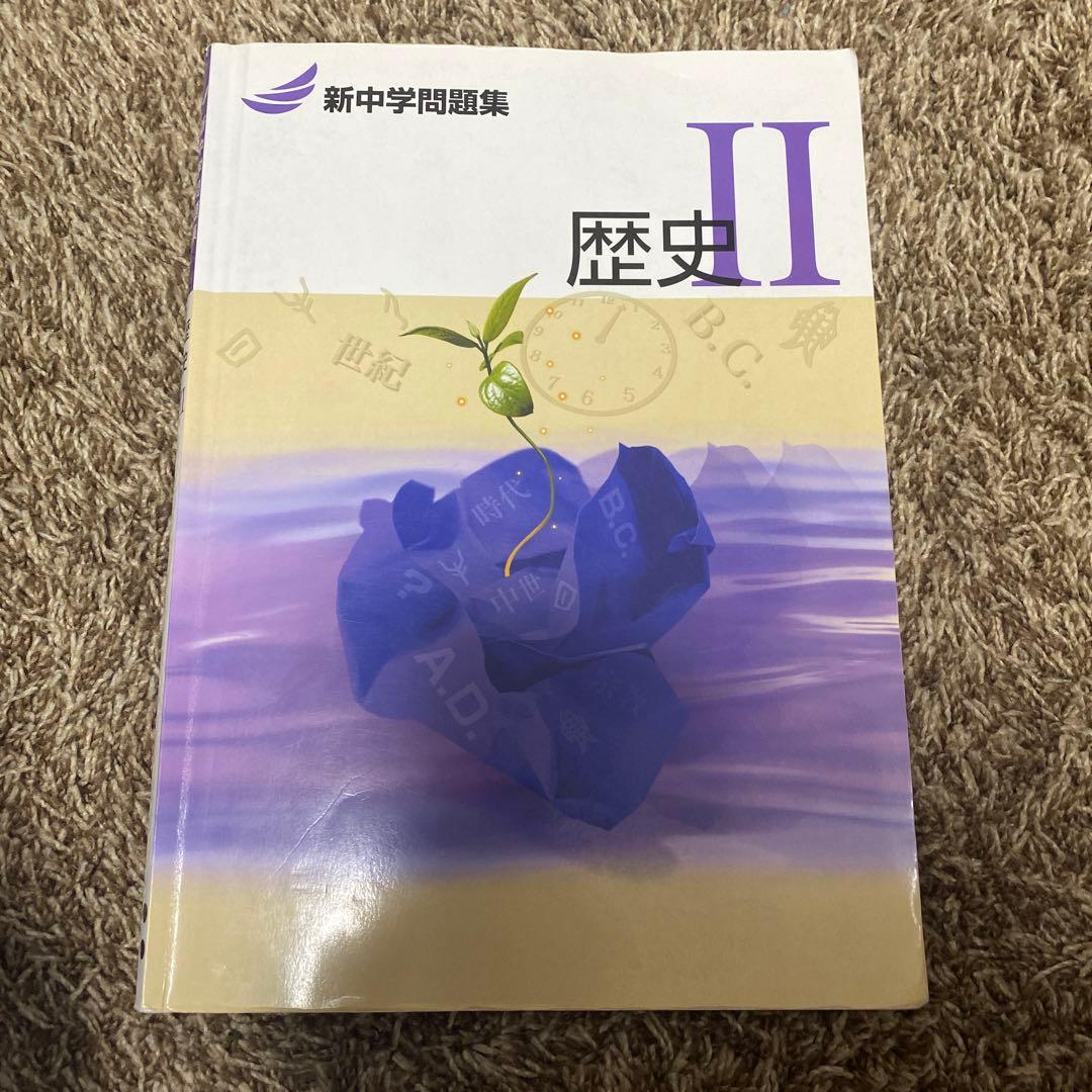 新中学問題問題集