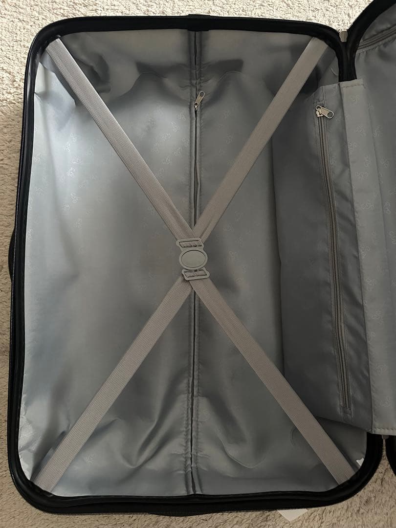 ディズニー ダッフィー アウラニ AULANI スーツケース