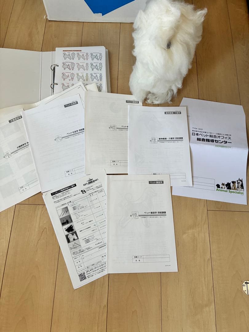 ヒューマンアカデミー　トリミング教材セット一式