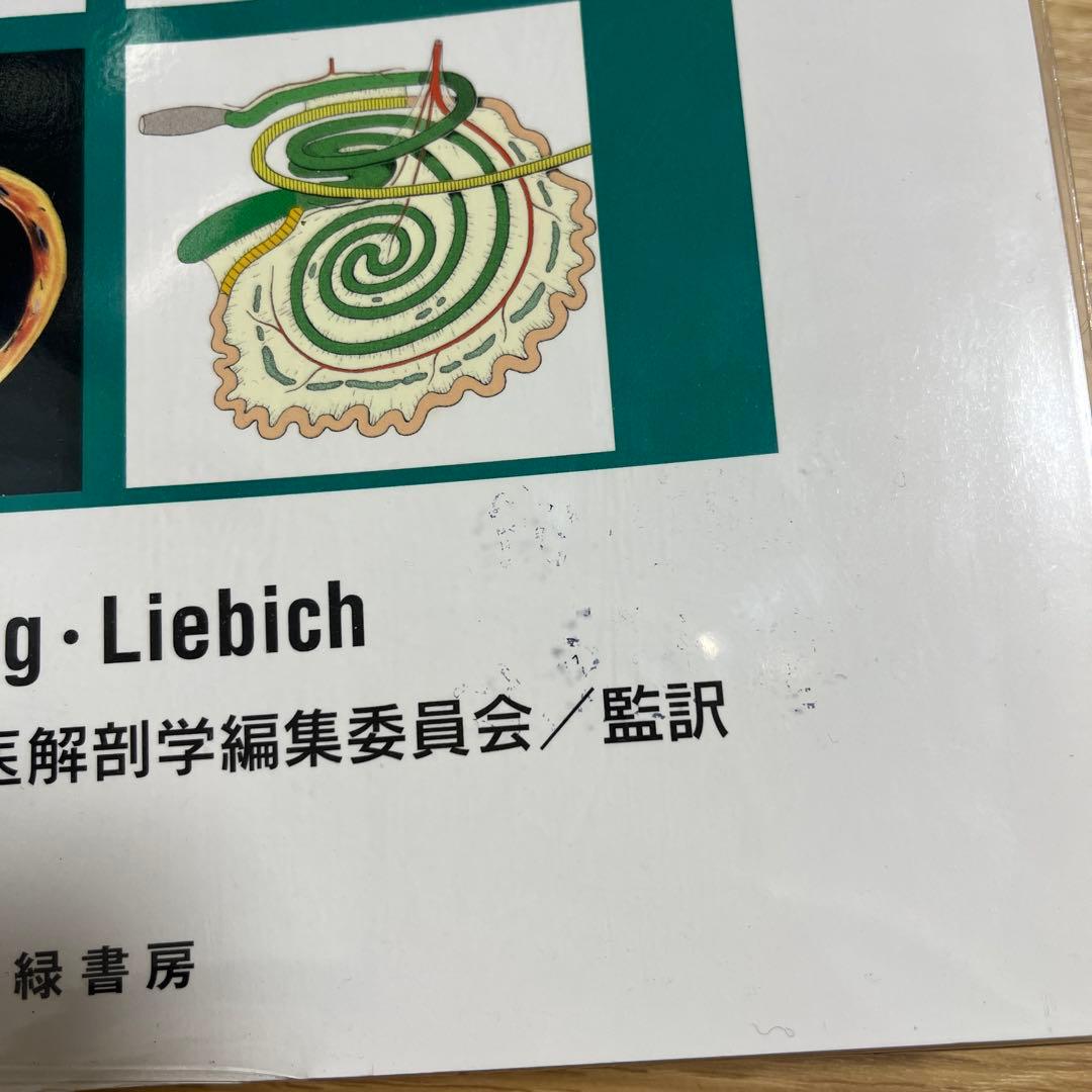 カラーアトラス獣医解剖学 上巻　下巻