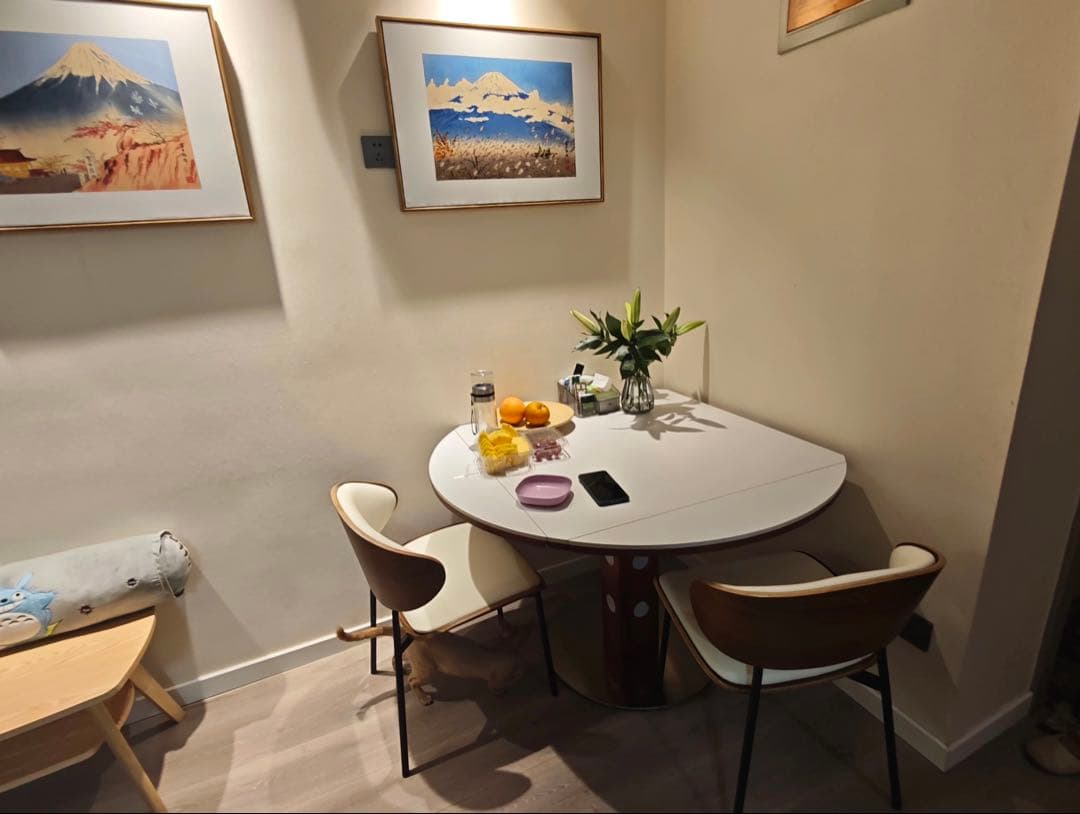 2脚セット　ダイニングチェア　おしゃれイス　高級感椅子