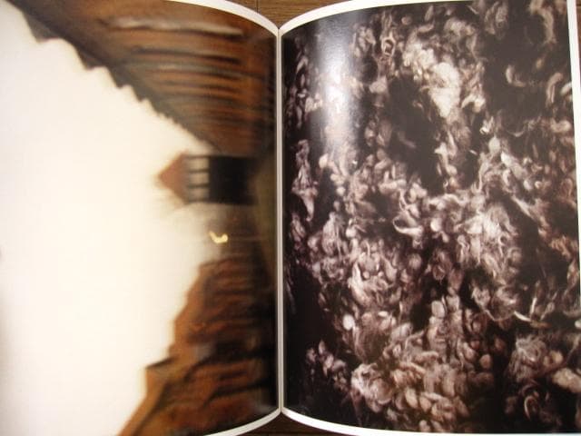 Anticorps / Antoine d' Agata　アントワン・ダガタ