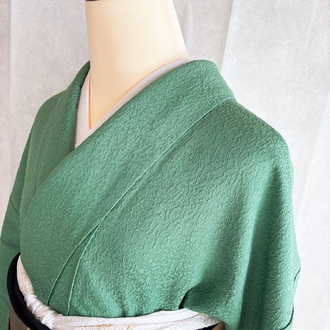 色無地　フルセット　着物　正絹　トールサイズ　緑　卒業式　入学式　N2