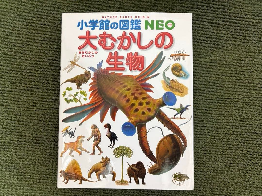 小学館の図鑑NEO10冊 ＆ 学研図鑑1冊、全11冊セット