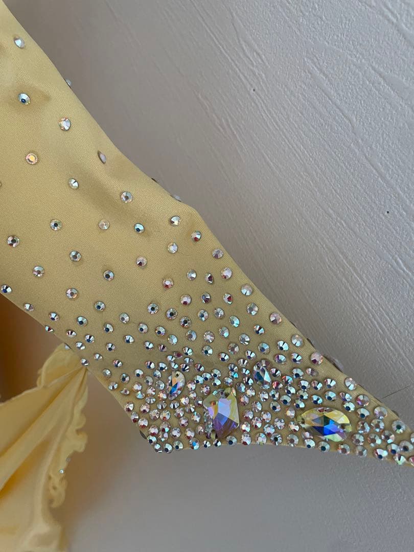 社交ダンス⭐️スタンダードドレス　オーダードレス　スワロフスキー