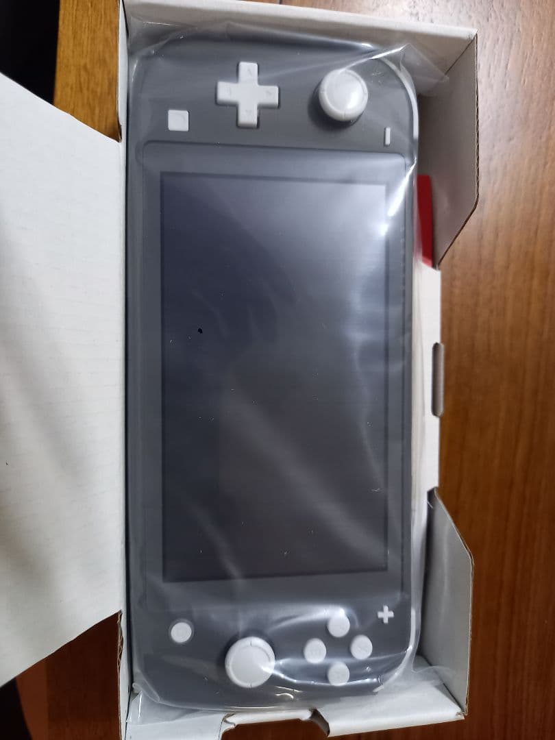 Nintendo Switch Lite 本体 (購入日 :R7.7.23)