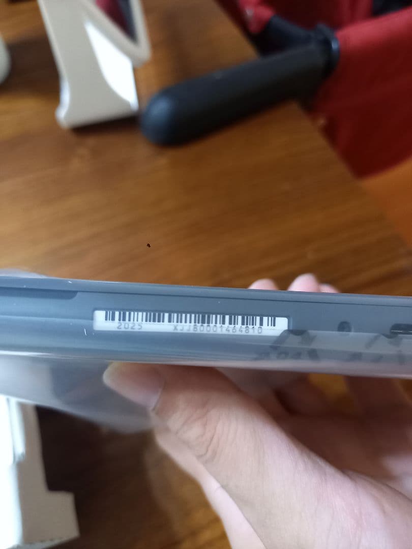 Nintendo Switch Lite 本体 (購入日 :R7.7.23)