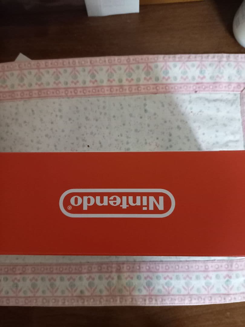 Nintendo Switch Lite 本体 (購入日 :R7.7.23)