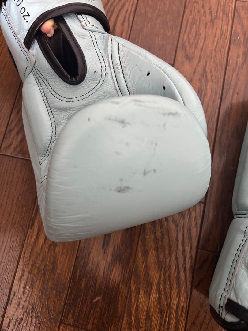 フェアテックス Fairtex BGV20 ボクシンググローブ 10oz