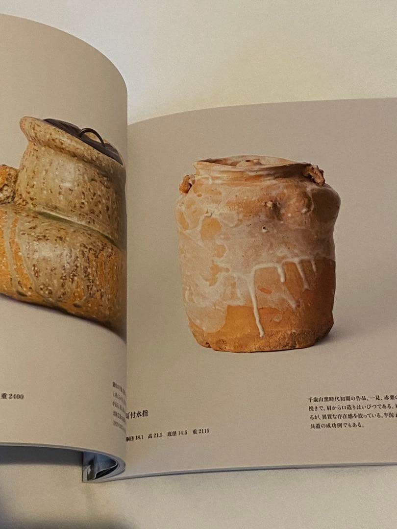 会場限定図録 NIGO®と半泥子 特別展