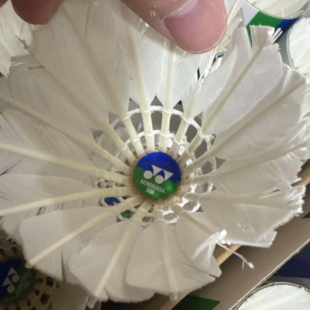 バドミントントン　シャトル 30ダース　(基礎打ち用)390球