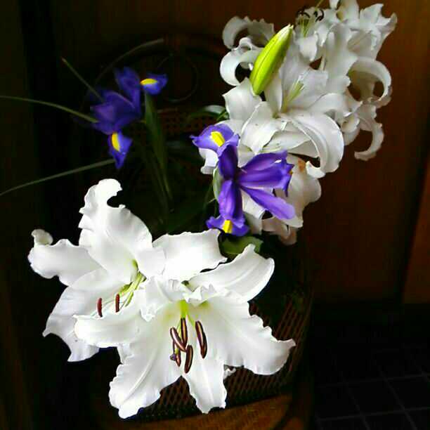 確認画面　ここで頂いた籠に　庭のカサブランカを。。。至福の時です！