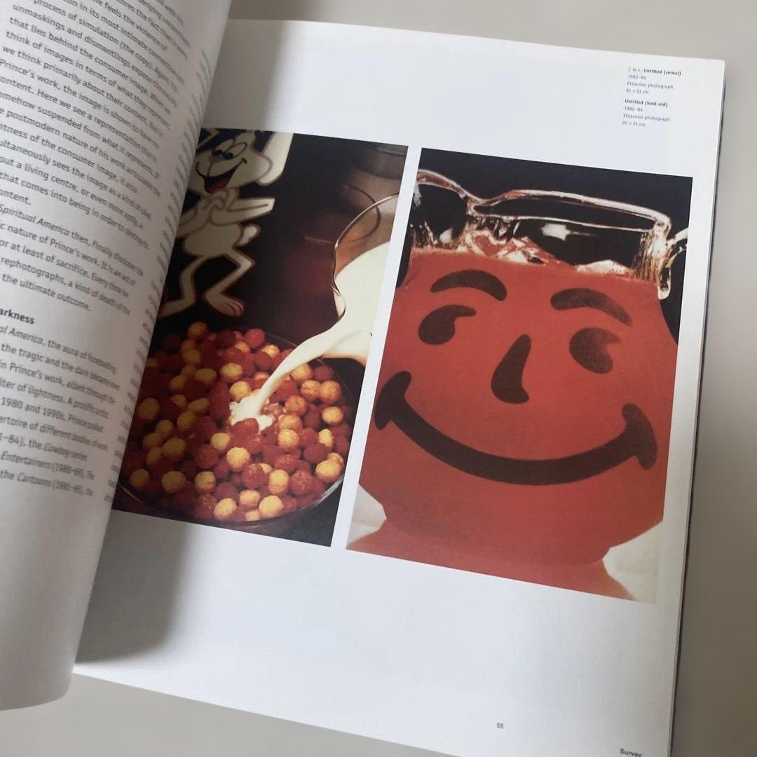 リチャードプリンス　画集　ルイ・ヴィトン　マークジェイコブス