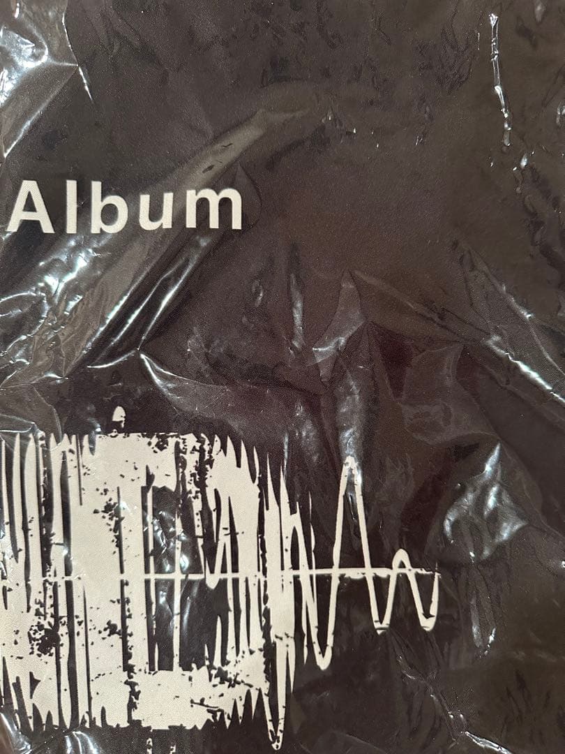 StrayKids スキズ ハン ジソン 直筆サイン 渋谷109フラッグ