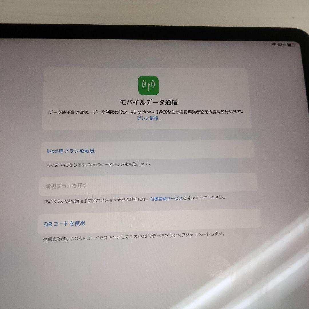 iPad Pro 12.9インチ第三世代256GB Wi-Fi+Cellular