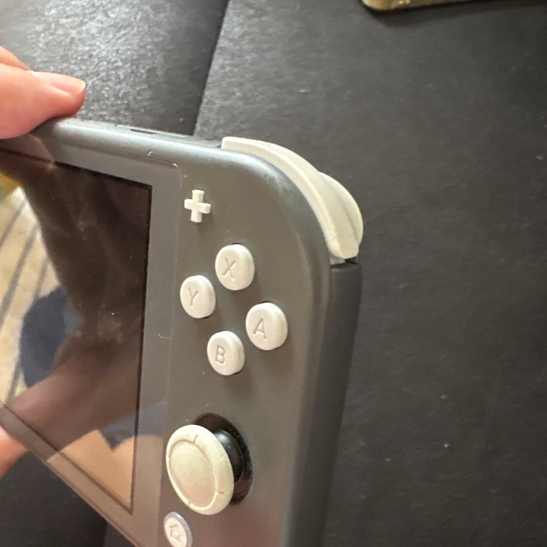 Nintendo Switch Lite グレー 本体、ACアダプター