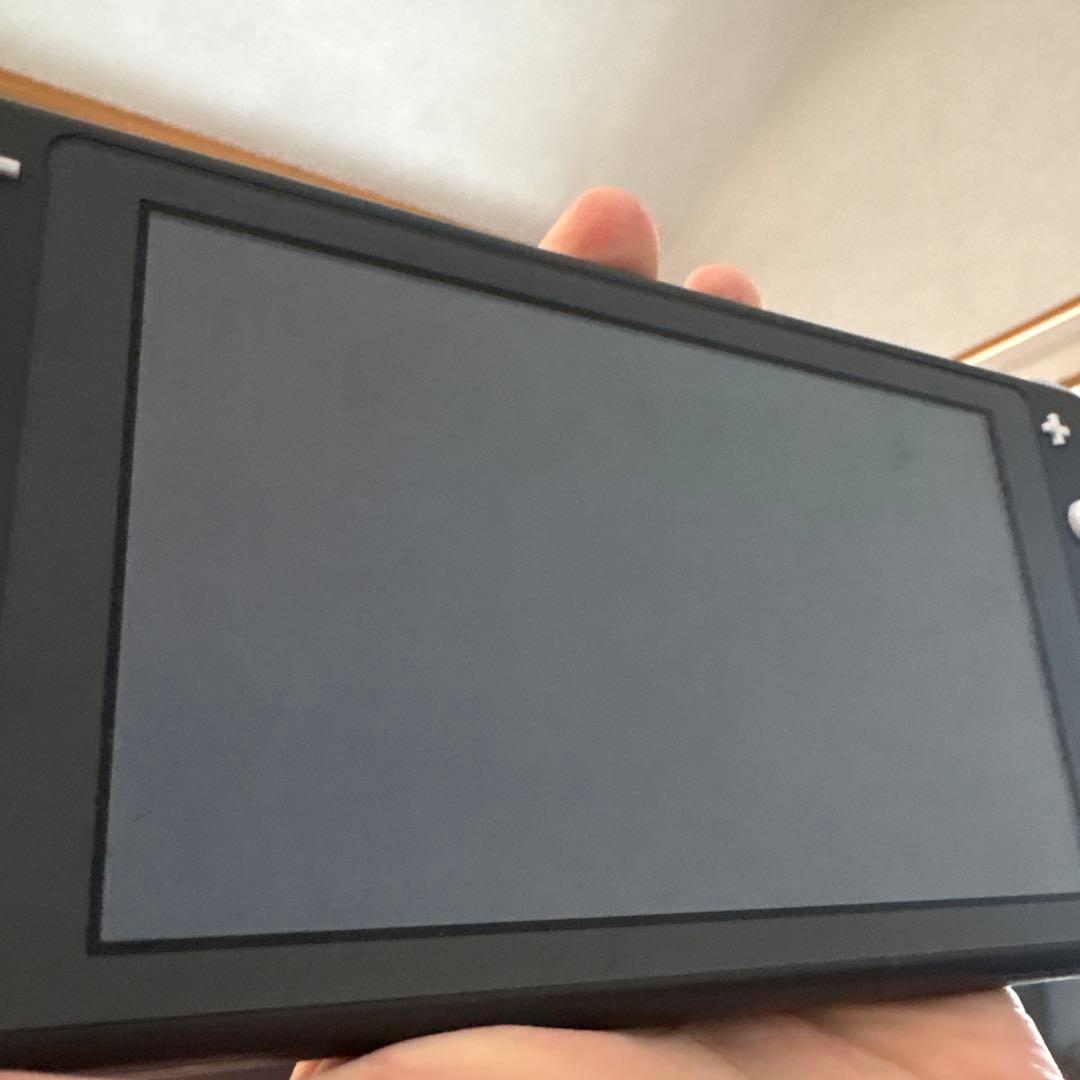 Nintendo Switch Lite グレー 本体、ACアダプター